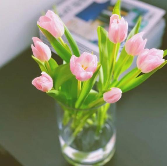 白色郁金香图片，10朵白色郁金香花语（白色郁金香花束）