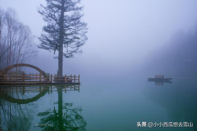 陇南市旅游景点，陇南旅游必去景点攻略（畅游陇南甘南）