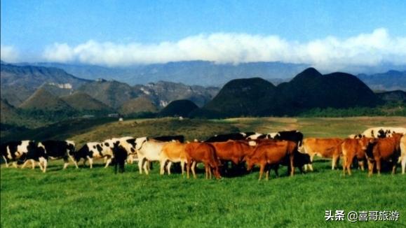 贵州黔西南旅游景点大全介绍，贵州黔西南十大景点有哪些