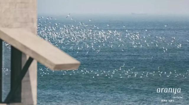 阿那亚游玩攻略秘籍，阿那亚作为一个南方人