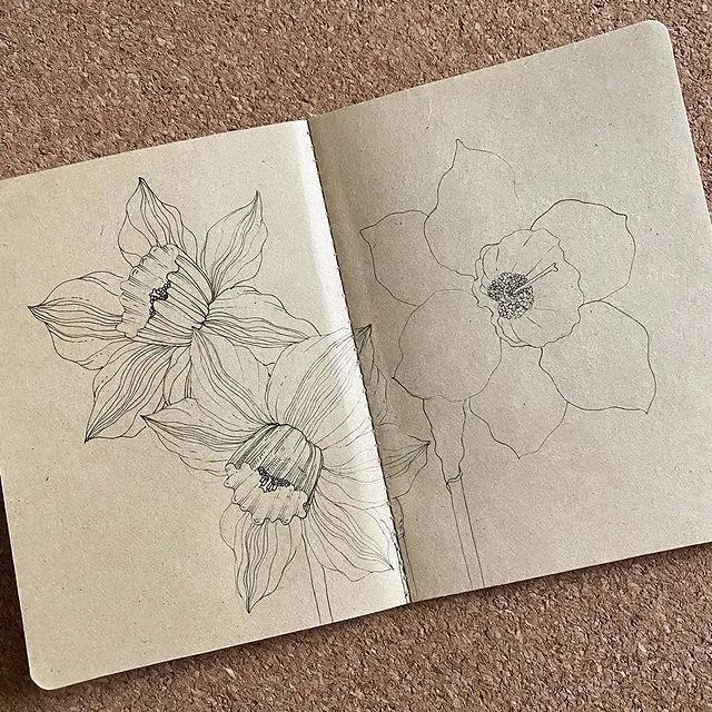 妙笔生花水墨画教程，教科书级别的植物线描