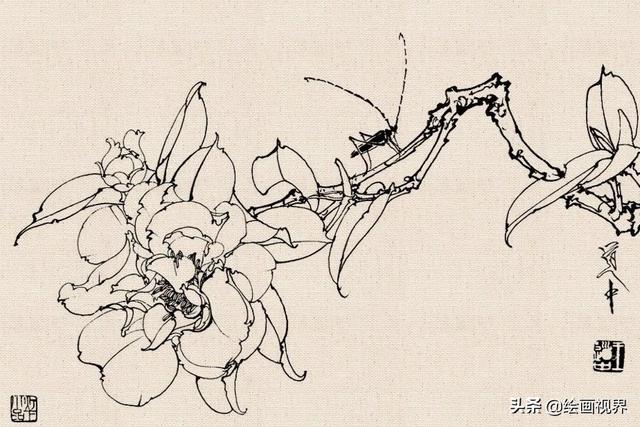 超级简单的白描画法，学习画白描很难