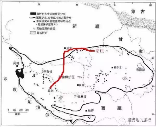 穿越羌塘无人区需要哪些准备，那些穿越羌塘无人区的冒险者们