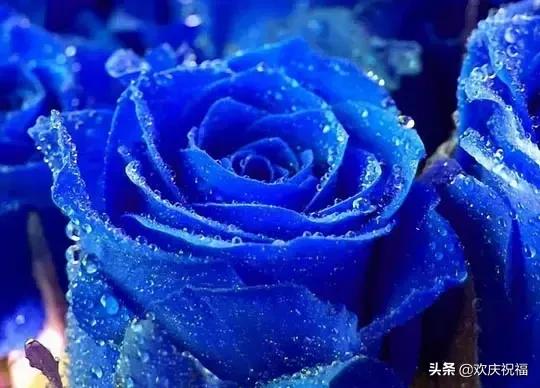 情人节送男朋友什么礼物今天2.14日情人节,999玫瑰送给所有朋友,祝你们情人节快