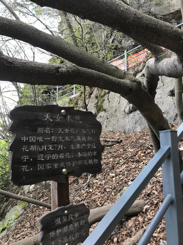 本溪关门山好还是千山好，山城本溪九鼎铁刹山值不值得去