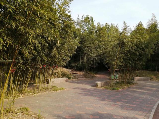 万泉河游览区游玩攻略图，休闲运动的好去处