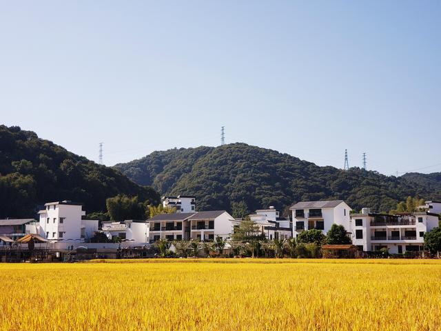 从化旅游景点大全，从化一日游旅游攻略大全（打卡吕田鹰嘴桃花+罗洞工匠小镇麦浪+莲麻小镇）