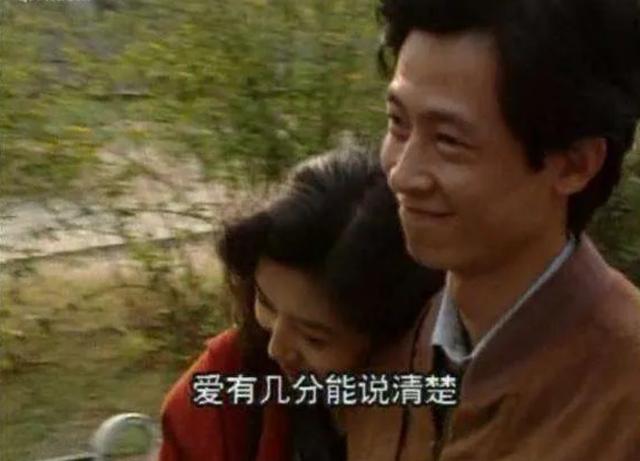 王志飞演的最好看的电视剧，都夸王志文凭叛逆者演技封神