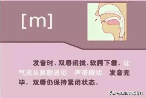 英语音标怎么学，初学英语者必看如何学习国际音标（资深老教师说：音标就该这样学）