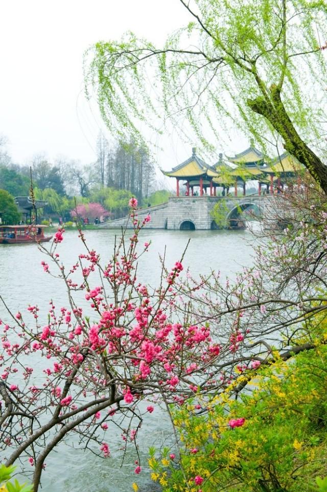 带有春风的诗词句有哪些，58句春风诗词送给你