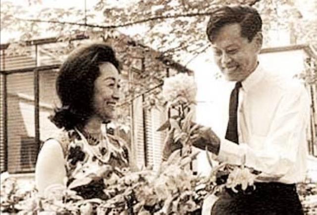 杨振宁的发妻杜致礼简介，他是杨振宁的首任岳父