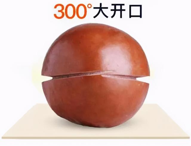 夏威夷果长什么样，原来夏威夷果是长这样的（夏威夷果：“名不副实”的坚果）