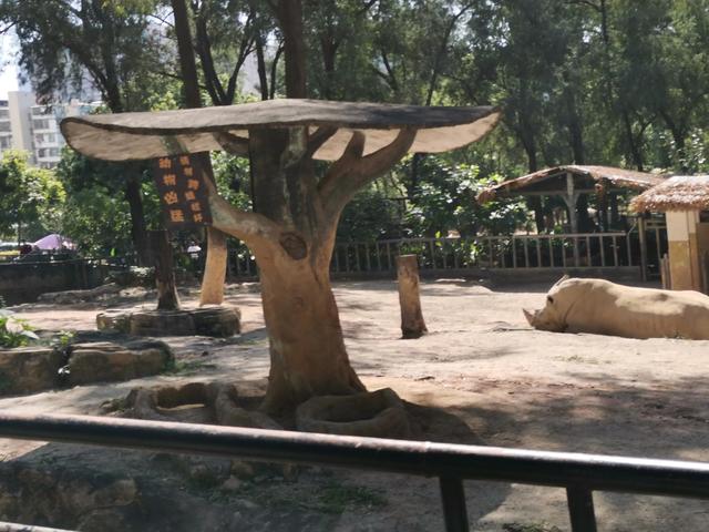 广州动物园游玩攻略，广州动物园玩转攻略（广州五一出行旅游攻略之广州动物园）