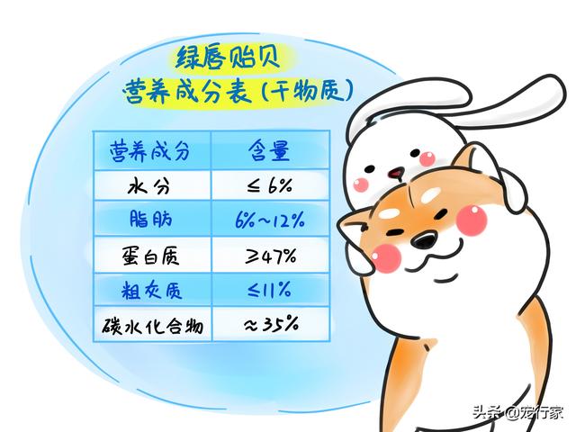 五爪贝饲养最全攻略，五爪贝终于实现人工繁殖啦