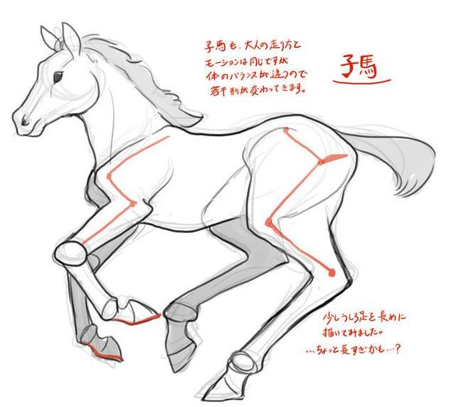 徐悲鸿画马技法，徐悲鸿马画法图（第一次看徐悲鸿画马的过程）