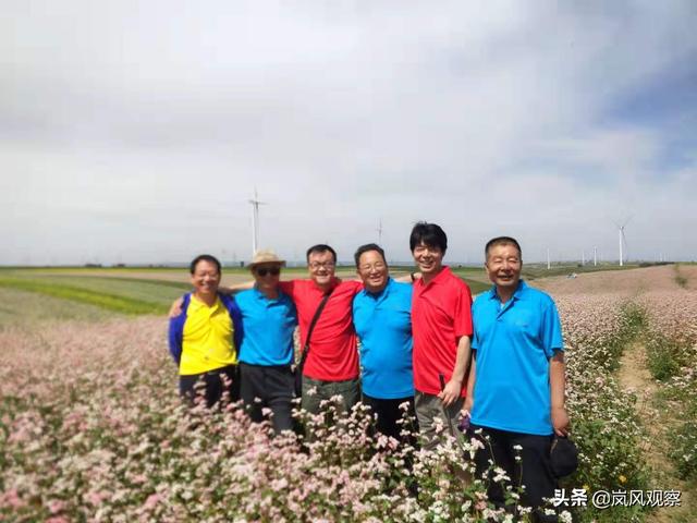 荞麦花开百花香，环县荞麦花开正当时