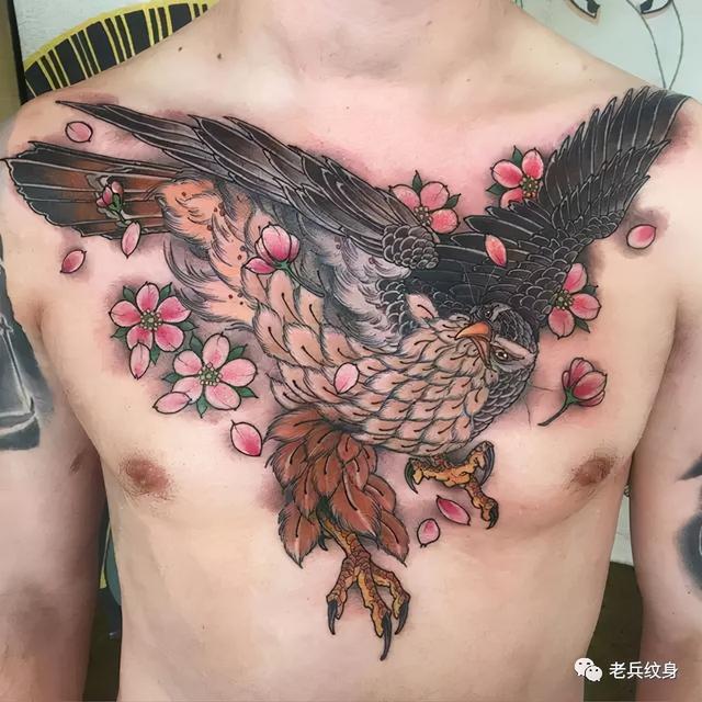 猫头鹰的寓意和象征记得收藏，象征睿智的猫头鹰图案