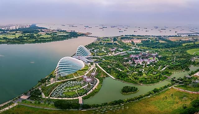 新加坡华人比例，现在新加坡华人的现状（新加坡华人占70%）