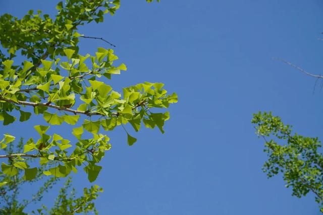 北京必玩景点排名，北京必玩的十个景点排名榜单（北京最值得去的12个景区）