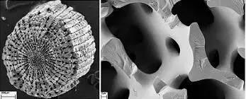 纳米碳酸钙是什么东西，浙大学者最新发现