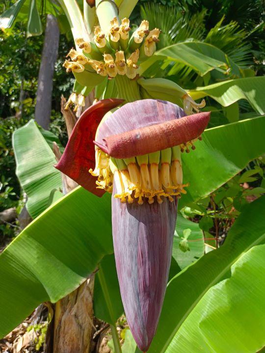 为什么很多人去印尼打工，记录印尼打工生活点滴