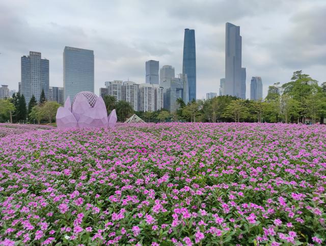 广州最适合去的公园，广州十个必打卡公园<免费篇>