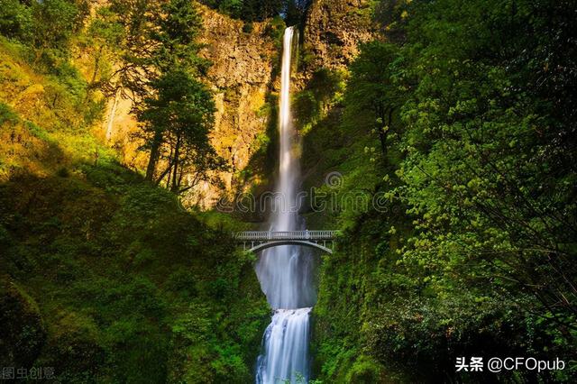 固定资产残值率，固定资产折旧残值率最新规定（固定资产折旧）