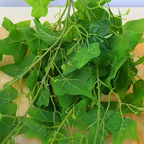 最好的藤蔓花排名，到了春天爬满墙开花海