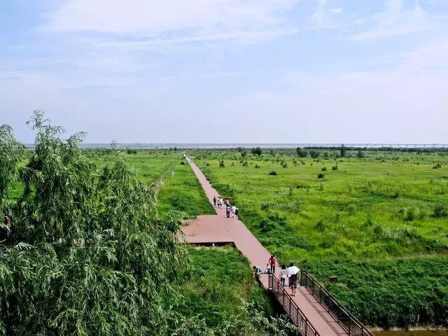 郑州周边免费景点，郑州最近免费旅游景点大全（不出郑州的8个赏花遛娃地）