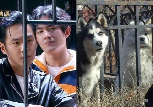 有一种避嫌叫张若昀上春晚，张若昀和唐艺昕公开后首次同台