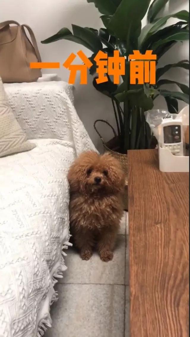 测试你适合找个钢铁直男，适合与你结婚的男人是哪一款