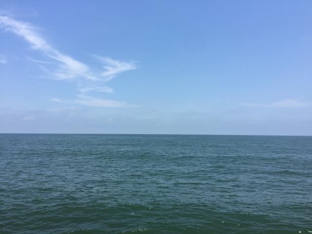 湛江美食之都哪里好吃，湛江十大人气餐馆