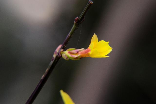 人与人之间的关系要有点距离，人跟人之间最合适的距离