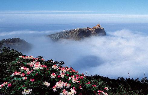 中国五大佛教名山，佛教五大名山简介（五大佛教名山是哪些山）