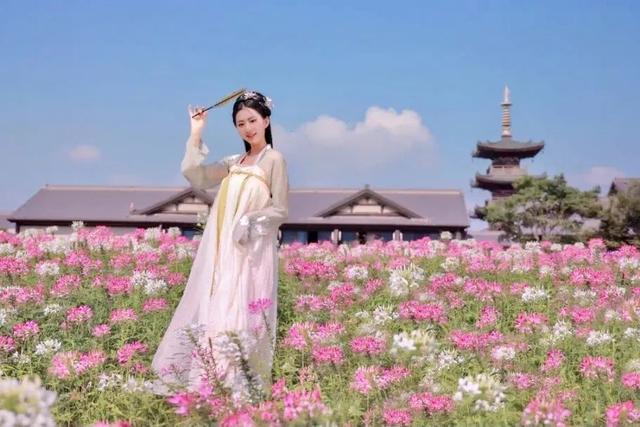 拈花湾攻略必去景点，1600亩拈花湾樱花海