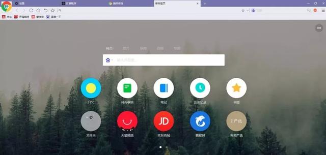 枫树浏览器好用吗，什么是谷歌双核浏览器（各家浏览器特点评析）