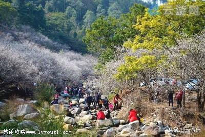 普宁八个风景名胜区，在普宁，适合去哪旅游