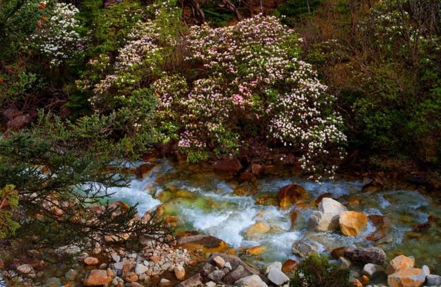 木格措风景区游玩攻略，今冬明春免费游木格措