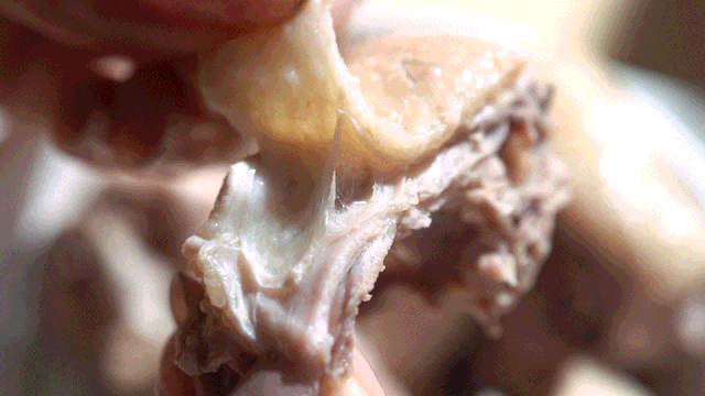 椰子鸡用什么鸡，四个椰子一只文昌鸡（文昌椰子鸡用什么椰子）