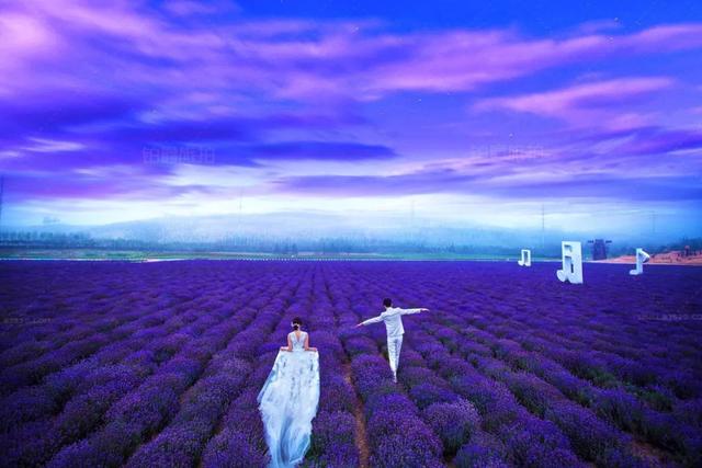 史密斯夫妇插曲，婚礼求婚音乐歌曲有哪些