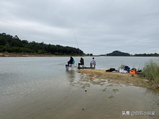广州自驾露营有哪些地方，广州这5个地方真是绝了