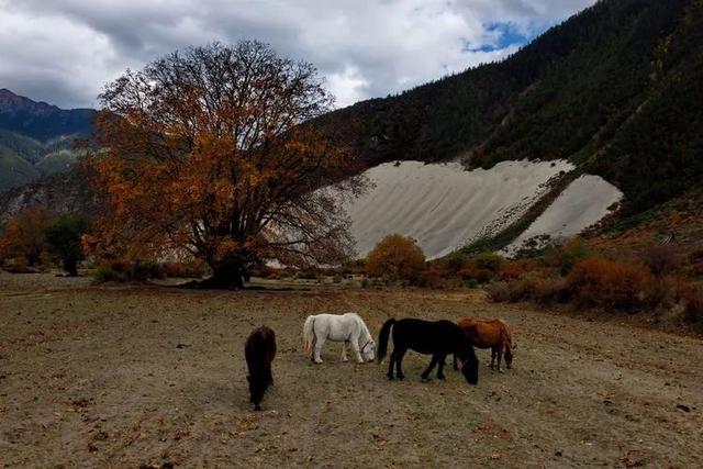 山南旅游景点大全，山南旅游最美景点