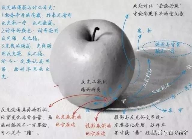 学画画零基础先学什么，零基础素描应该先练什么（零基础绘画教程，值得收藏）