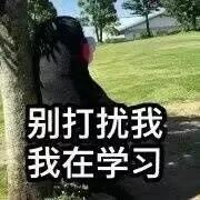 绕口令最难短句，十大最难绕口令短句（一字不差的读完就去做播音吧）