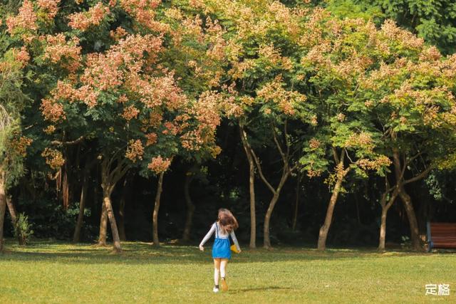 莲花山公园 网红打卡地，莲花山公园又红了