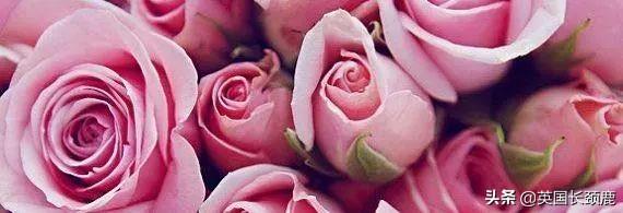 英伦风国际大牌香水，属于英国的香水不止Jo