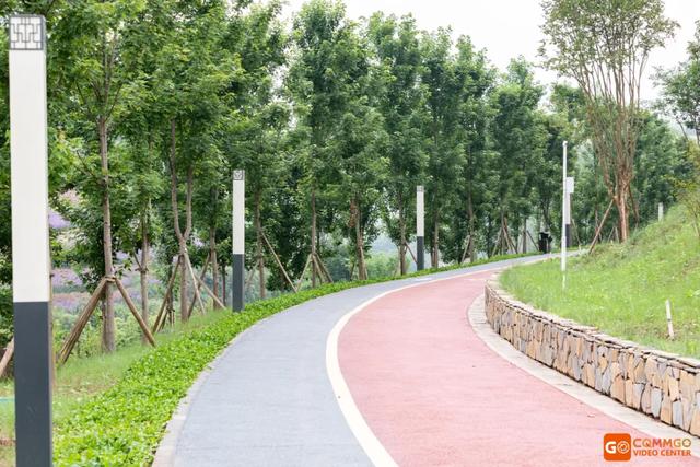 重庆熊猫最多的公园，你知道重庆动物园有多少只熊猫