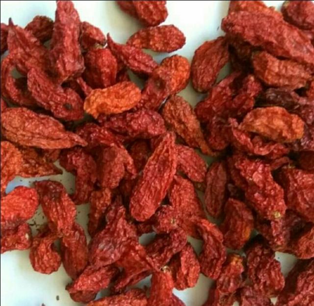 试菜技术大全，辣子百种争斗艳