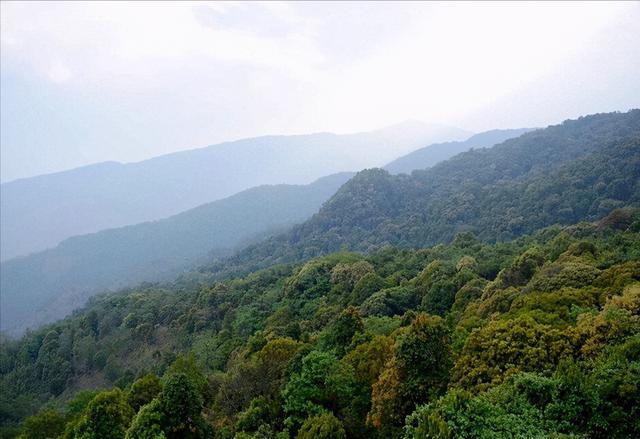 临沧最好的四大茶山，临沧四座大雪山