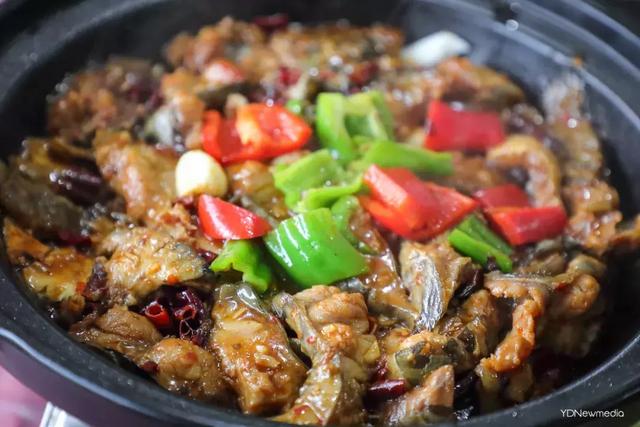 黑龙潭鲶鱼王，电工都搞不定的鲶鱼王